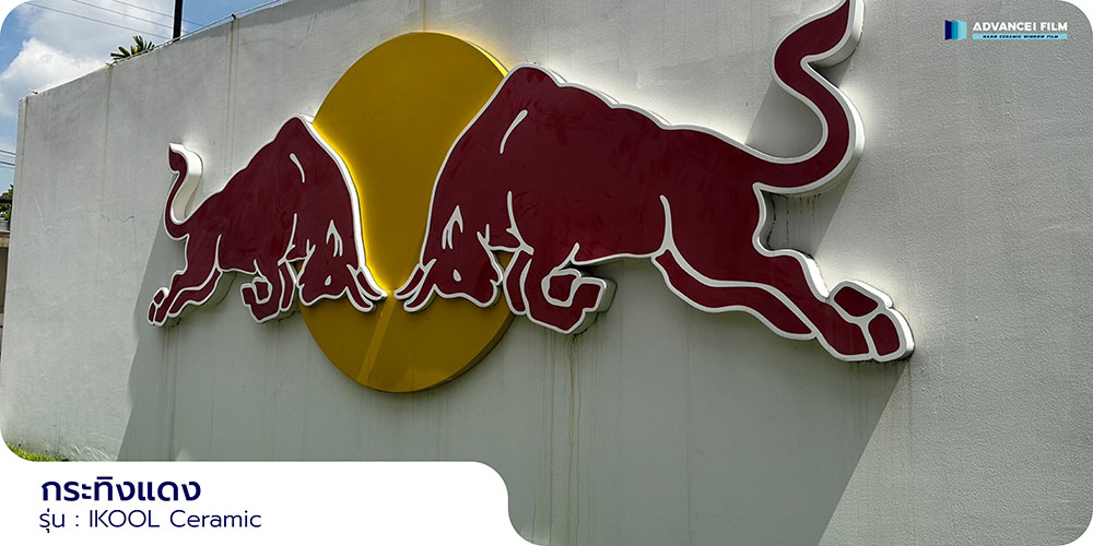 advanceifilm-review-redbull-01